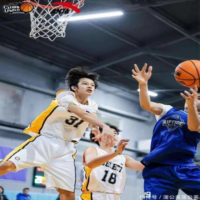 电竞季后赛战术变化与阵容新视角解读